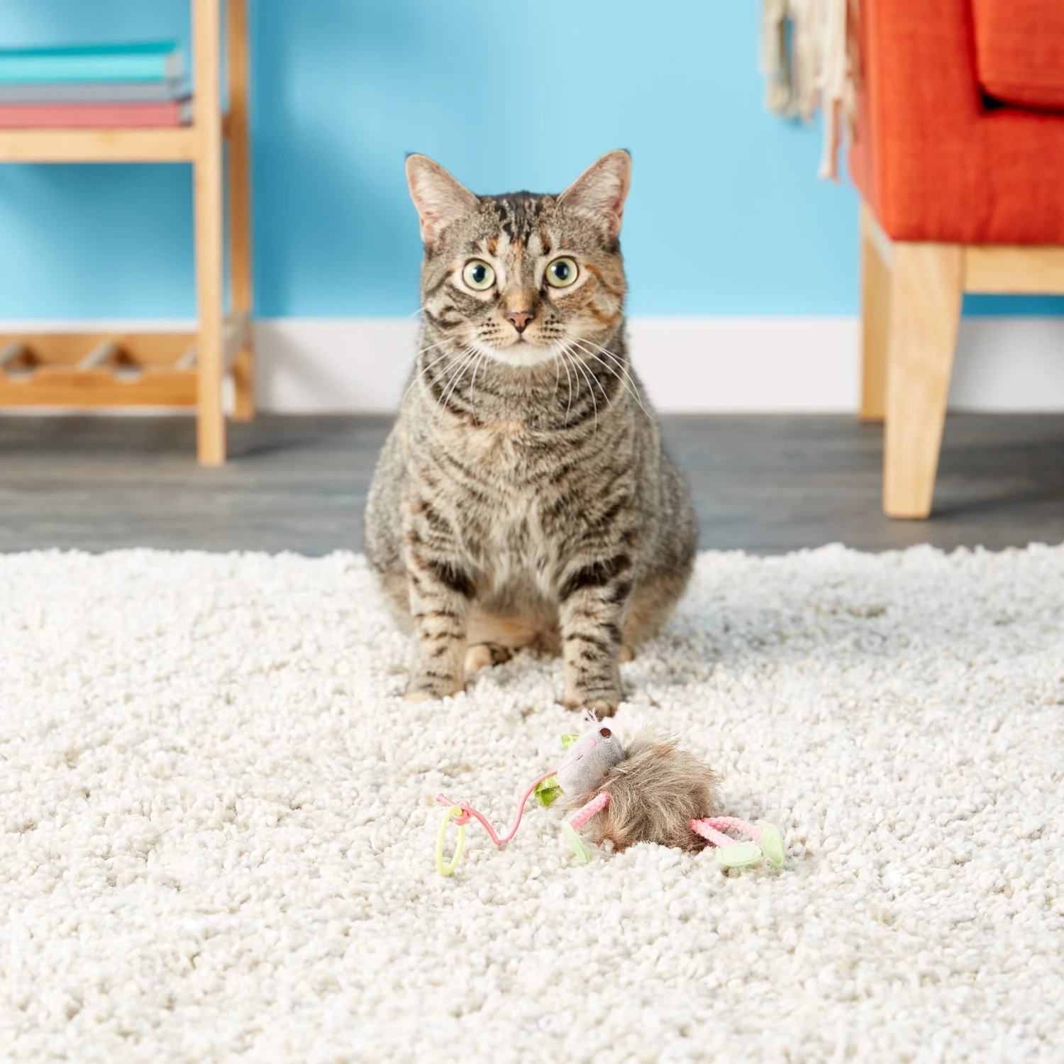 SmartyKat Bouncy Mouse Interactive Teaser Cat Toy, Color Varies 8 SmartyKat Bouncy Mouse Interactive Teaser Cat Toy, Color Varies - Image 6