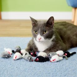 Penn-Plax Purr Pet Bag Of Mice Cat Toy, Color Varies 12 Penn-Plax Purr Pet Bag Of Mice Cat Toy, Color Varies -Pet Supplies Store 103731 PT2. AC SS1800 V1595370657