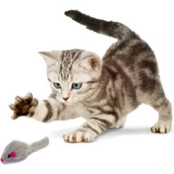 Penn-Plax Purr Pet Bag Of Mice Cat Toy, Color Varies 13 Penn-Plax Purr Pet Bag Of Mice Cat Toy, Color Varies -Pet Supplies Store 103731 PT3. AC SS1800 V1595365257