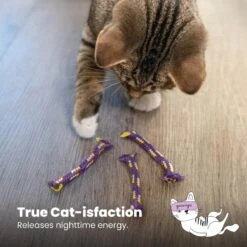 Catstages Night Time Catnip Rolls Cat Toy -Pet Supplies Store 105803 PT5. AC SS1800 V1636518418