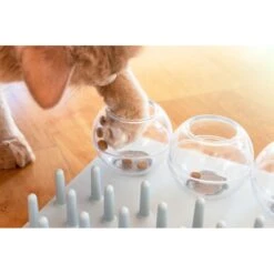 TRIXIE Activity Fun Board 5-in-1 Activity Strategy Game Cat Toy 14 TRIXIE Activity Fun Board 5-in-1 Activity Strategy Game Cat Toy -Pet Supplies Store 107255 PT4. AC SS1800 V1686331326
