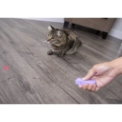 SmartyKat Feline Flash Laser Pointer Cat Toy 9 SmartyKat Feline Flash Laser Pointer Cat Toy -Pet Supplies Store 107603 PT2. AC SS1800 V1599754693