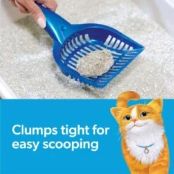 Fresh Step Hawaiian Aloha Scented Clumping Clay Cat Litter 15 Fresh Step Hawaiian Aloha Scented Clumping Clay Cat Litter -Pet Supplies Store 111378 PT4. AC SS1800 V1694464674
