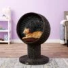 The Refined Feline Kitty Ball Cat Bed 2 The Refined Feline Kitty Ball Cat Bed -Pet Supplies Store 111384 MAIN. AC SS1800 V1565383196