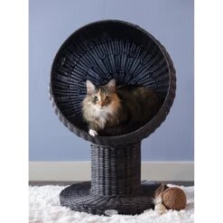 The Refined Feline Kitty Ball Cat Bed 14 The Refined Feline Kitty Ball Cat Bed -Pet Supplies Store 111384 PT3. AC SS1800 V1565383153