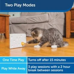 PetSafe Cheese Motion Cat Toy -Pet Supplies Store 114120 PT3. AC SS1800 V1599813056
