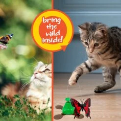 Pet Zone Fly By Spinner Interactive Cat Toy 16 Pet Zone Fly By Spinner Interactive Cat Toy -Pet Supplies Store 115571 PT5. AC SS1800 V1637362147