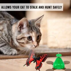 Pet Zone Fly By Spinner Interactive Cat Toy 17 Pet Zone Fly By Spinner Interactive Cat Toy -Pet Supplies Store 115571 PT6. AC SS1800 V1637362199