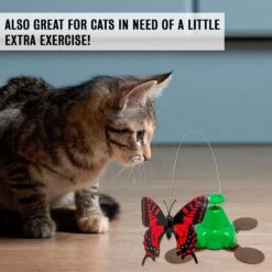 Pet Zone Fly By Spinner Interactive Cat Toy 18 Pet Zone Fly By Spinner Interactive Cat Toy -Pet Supplies Store 115571 PT7. AC SS1800 V1637363831