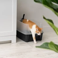IRIS USA Open Top Litter Box With Scatter Shield & Scoop -Pet Supplies Store 116462 PT6. AC SS1800 V1680809081