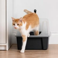IRIS USA Open Top Litter Box With Scatter Shield & Scoop -Pet Supplies Store 116462 PT7. AC SS1800 V1680808961