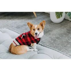Chilly Dog Buffalo Plaid Dog & Cat Sweater -Pet Supplies Store 121710 PT2. AC SS1800 V1595883355