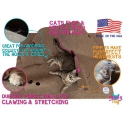 SnugglyCat Ripple Rug Cat Activity Play Mat -Pet Supplies Store 122790 PT3. AC SS1800 V1493762828