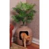 Good Pet Stuff Hidden Cat Litter Planter 2 Good Pet Stuff Hidden Cat Litter Planter -Pet Supplies Store 122853 MAIN. AC SS1800 V1565284805