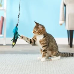 Pet Fit For Life 4 Piece Dual Rod Wand Cat Toy 12 Pet Fit For Life 4 Piece Dual Rod Wand Cat Toy -Pet Supplies Store 123822 PT2. AC SS1800 V1589320598