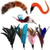 Pet Fit For Life 7 Piece Replacement Feather Pack For Wand Cat Toy -Pet Supplies Store 123827 MAIN. AC SS1800 V1589320865