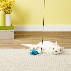 Pet Fit For Life 7 Piece Replacement Feather Pack For Wand Cat Toy 13 Pet Fit For Life 7 Piece Replacement Feather Pack For Wand Cat Toy -Pet Supplies Store 123827 PT2. AC SS1800 V1589320880