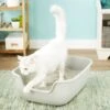 PetFusion BetterBox Non-Stick Cat Litter Box -Pet Supplies Store 133670 MAIN. AC SS1800 V1565284824