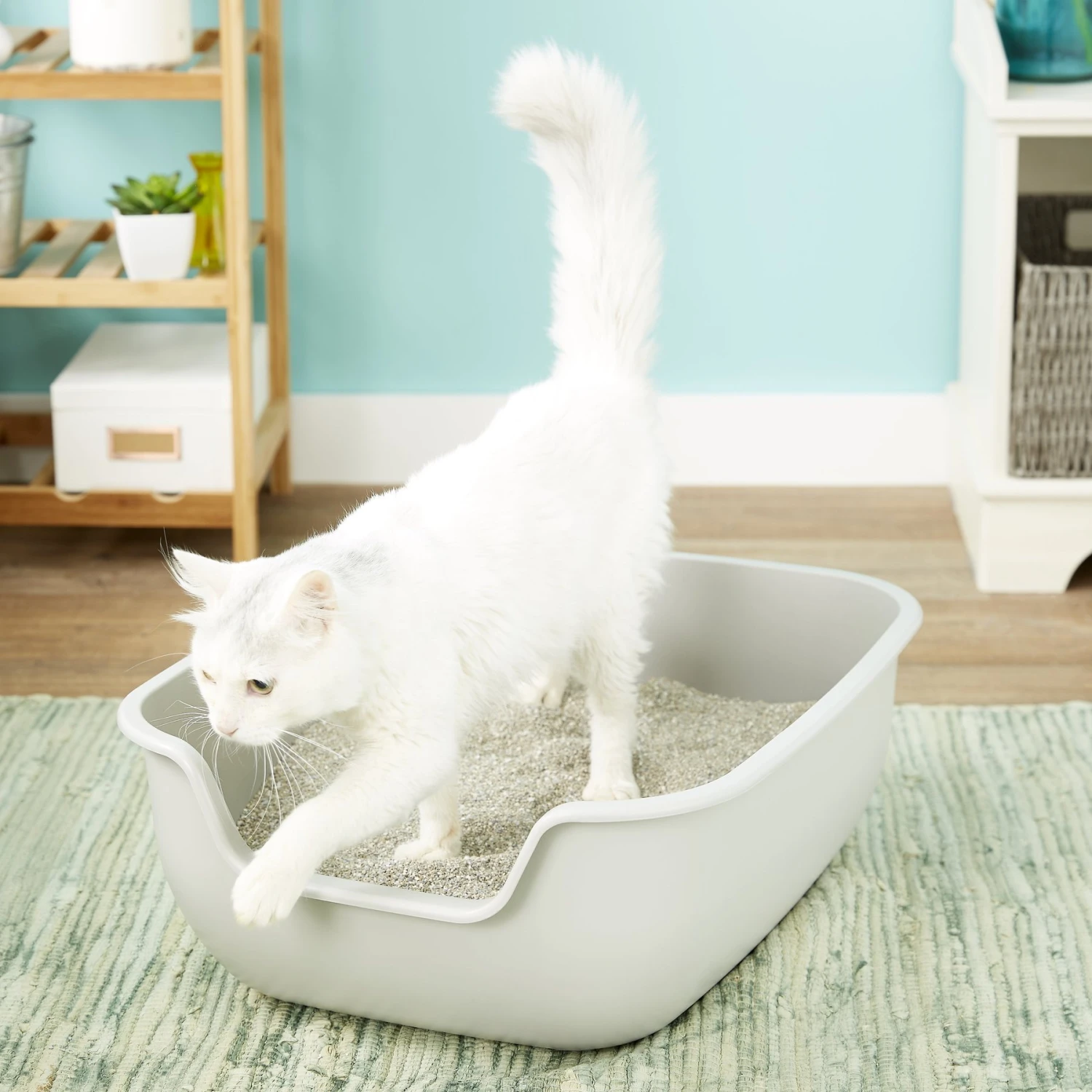 PetFusion BetterBox Non-Stick Cat Litter Box 3 PetFusion BetterBox Non-Stick Cat Litter Box