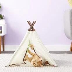 SmartyKat Kitty Camp TeePee Cat Toy 14 SmartyKat Kitty Camp TeePee Cat Toy -Pet Supplies Store 137500 PT5. AC SS1800 V1527258279