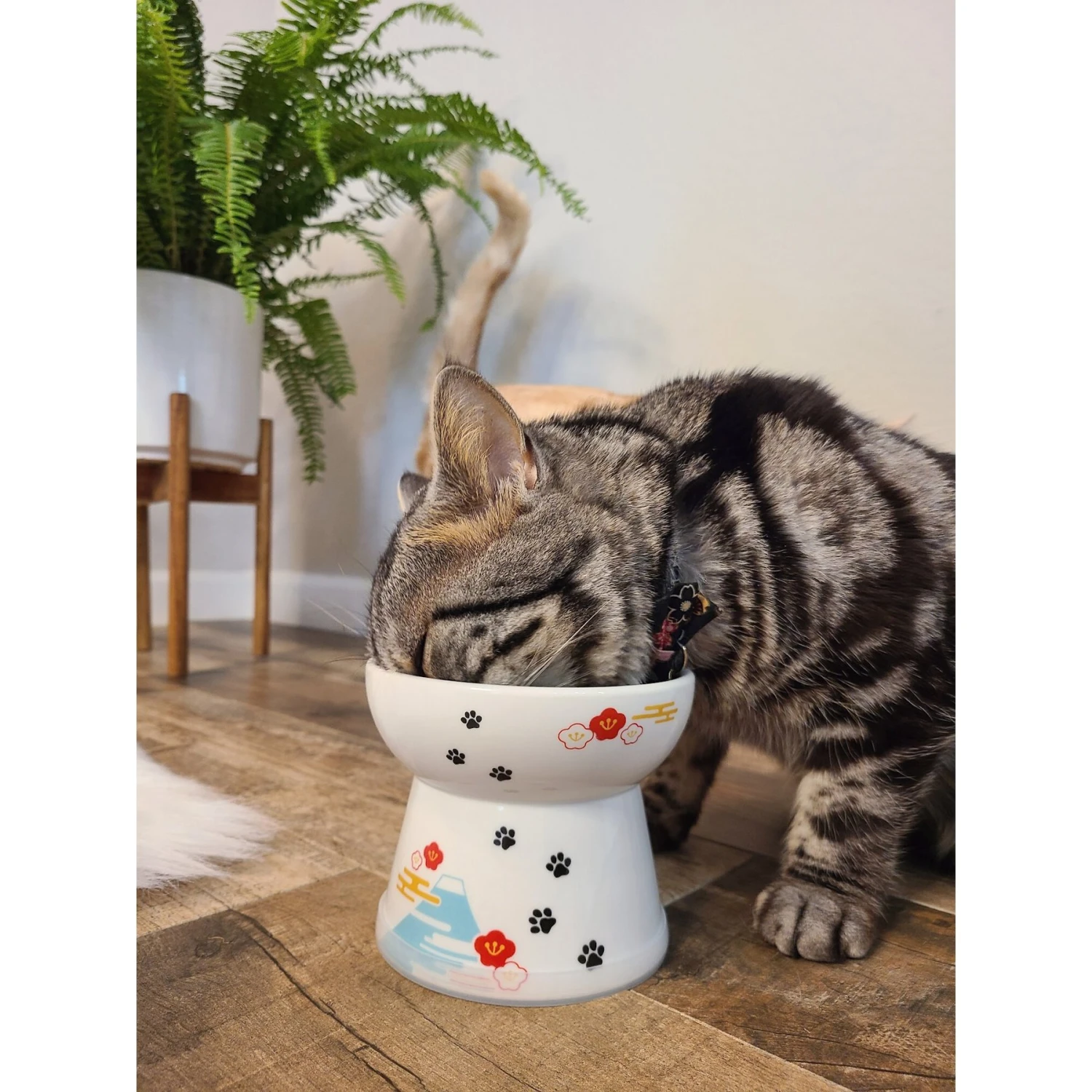 Necoichi Raised Cat Food Bowl, Fuji 8 Necoichi Raised Cat Food Bowl, Fuji - Image 6