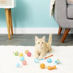 Hartz Just For Cats Toy Variety Pack, 13 Count 12 Hartz Just For Cats Toy Variety Pack, 13 Count -Pet Supplies Store 139111 PT2. AC SS1800 V1589230985