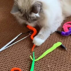Pet Fit For Life 5 Piece Squiggly Worm Wand Cat Toy 12 Pet Fit For Life 5 Piece Squiggly Worm Wand Cat Toy -Pet Supplies Store 140078 PT2. AC SS1800 V1589320918