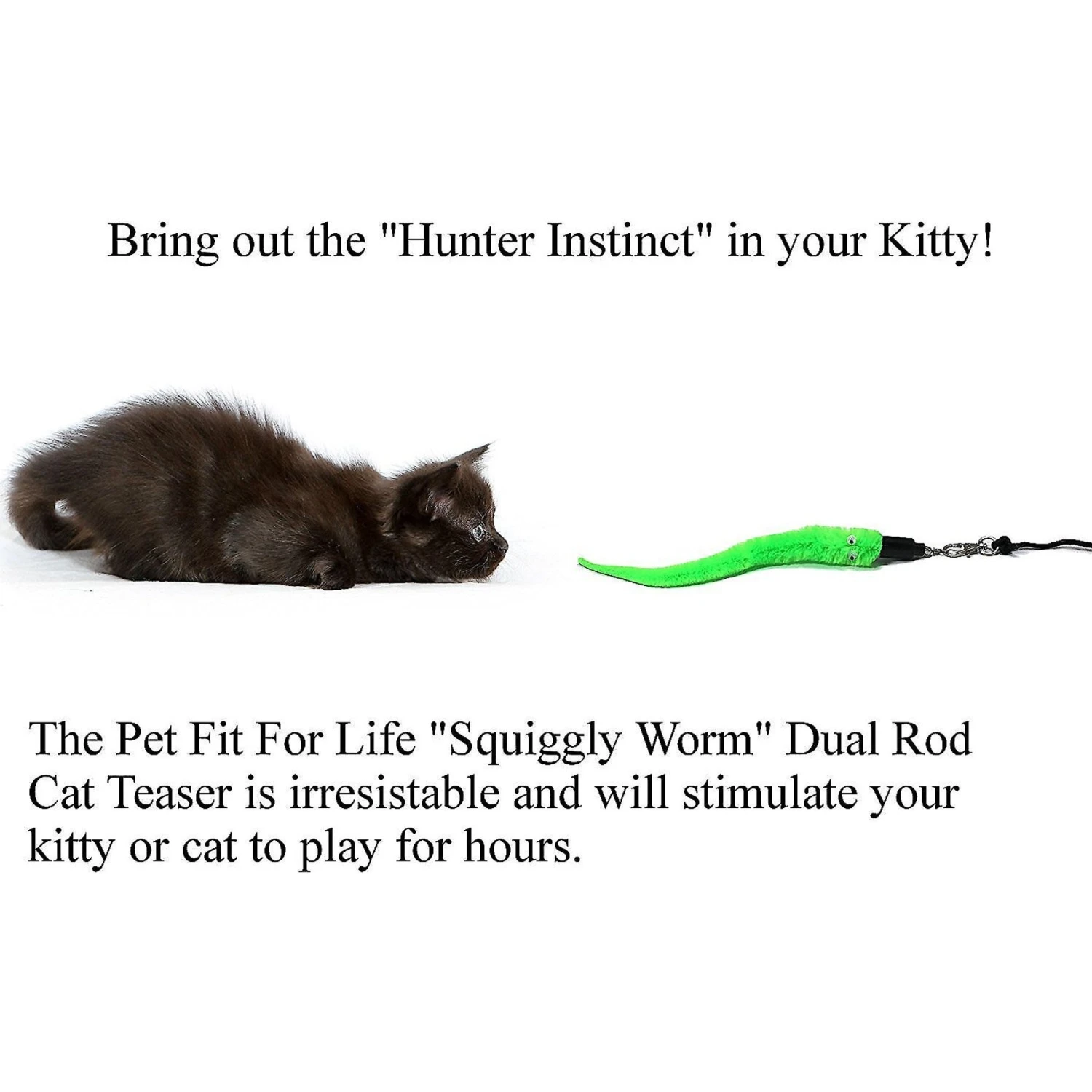 Pet Fit For Life 5 Piece Squiggly Worm Wand Cat Toy 6 Pet Fit For Life 5 Piece Squiggly Worm Wand Cat Toy - Image 4