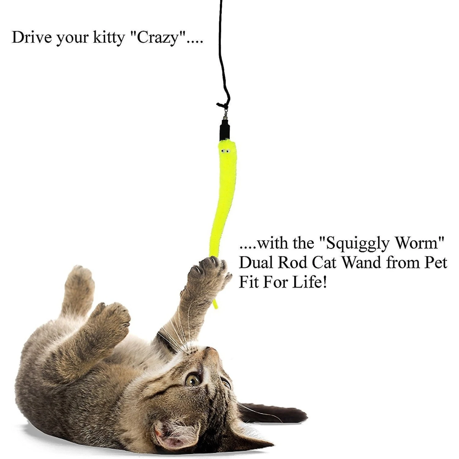 Pet Fit For Life 5 Piece Squiggly Worm Wand Cat Toy 7 Pet Fit For Life 5 Piece Squiggly Worm Wand Cat Toy - Image 5