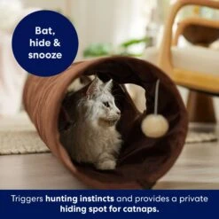 Frisco 47-in Foldable Crinkle Play Tunnel With 2 Windows -Pet Supplies Store 140168 PT3. AC SS1800 V1695241917