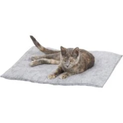 K.T. Manufacturing Purr Padd Cat Bed Mat 11 K.T. Manufacturing Purr Padd Cat Bed Mat -Pet Supplies Store 141224 PT2. AC SS1800 V1565383659