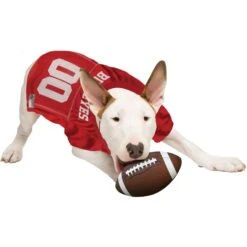 Pets First NCAA Dog & Cat Jersey, Ohio State Buckeyes -Pet Supplies Store 142138 PT4. AC SS1800 V1538435585