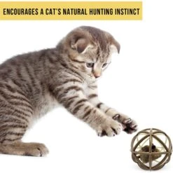 Pet Zone Ball Of Furry Fury Cat Toy With Catnip 14 Pet Zone Ball Of Furry Fury Cat Toy With Catnip -Pet Supplies Store 144159 PT5. AC SS1800 V1639092405