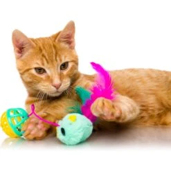 Hartz Just For Cats Super Hunters Cat Toy Variety Pack, 13 Count 9 Hartz Just For Cats Super Hunters Cat Toy Variety Pack, 13 Count -Pet Supplies Store 145966 PT2. AC SS1800 V1589231164