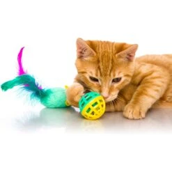 Hartz Just For Cats Super Hunters Cat Toy Variety Pack, 13 Count 10 Hartz Just For Cats Super Hunters Cat Toy Variety Pack, 13 Count -Pet Supplies Store 145966 PT3. AC SS1800 V1589231172