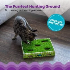 Catstages Grass Patch Hunting Box Cat Scratcher Toy 11 Catstages Grass Patch Hunting Box Cat Scratcher Toy -Pet Supplies Store 148104 PT2. AC SS1800 V1631679976
