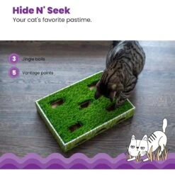 Catstages Grass Patch Hunting Box Cat Scratcher Toy 12 Catstages Grass Patch Hunting Box Cat Scratcher Toy -Pet Supplies Store 148104 PT3. AC SS1800 V1631683023