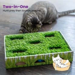 Catstages Grass Patch Hunting Box Cat Scratcher Toy 14 Catstages Grass Patch Hunting Box Cat Scratcher Toy -Pet Supplies Store 148104 PT5. AC SS1800 V1631689013