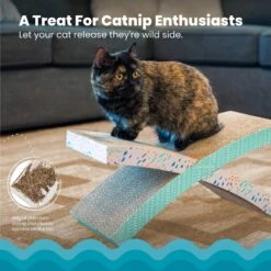 Catstages Easy Life Hammock Cat Scratcher Toy With Catnip 12 Catstages Easy Life Hammock Cat Scratcher Toy With Catnip -Pet Supplies Store 148110 PT2. AC SS1800 V1636516951