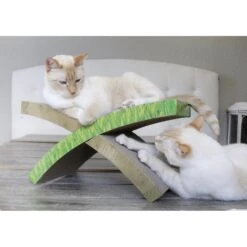 Catstages Easy Life Hammock Cat Scratcher Toy With Catnip 17 Catstages Easy Life Hammock Cat Scratcher Toy With Catnip -Pet Supplies Store 148110 PT8. AC SS1800 V1636499305