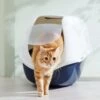 Frisco Hooded Cat Litter Box 1 Frisco Hooded Cat Litter Box -Pet Supplies Store 153376 MAIN. AC SS1800 V1675280052