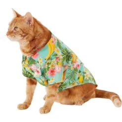 Frisco Pineapple Hawaiian Camp Dog & Cat Shirt 13 Frisco Pineapple Hawaiian Camp Dog & Cat Shirt -Pet Supplies Store 153596 PT2. AC SS1800 V1673304512