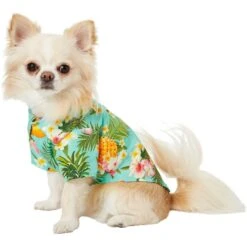 Frisco Pineapple Hawaiian Camp Dog & Cat Shirt 14 Frisco Pineapple Hawaiian Camp Dog & Cat Shirt -Pet Supplies Store 153596 PT3. AC SS1800 V1673361409