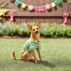 Frisco Pineapple Hawaiian Camp Dog & Cat Shirt 18 Frisco Pineapple Hawaiian Camp Dog & Cat Shirt -Pet Supplies Store 153596 PT7. AC SS1800 V1644884316