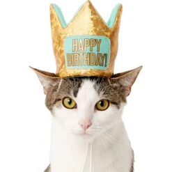 Frisco Happy Birthday Dog & Cat Crown 10 Frisco Happy Birthday Dog & Cat Crown -Pet Supplies Store 153665 PT2. AC SS1800 V1551230979