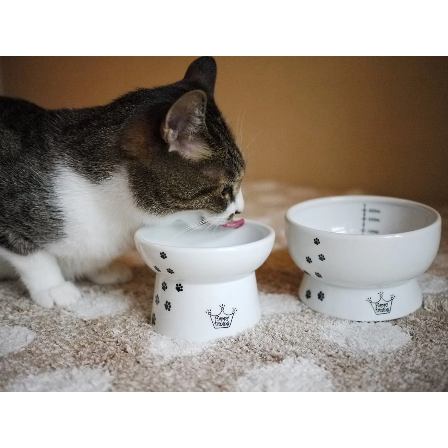 Necoichi Ceramic Elevated Cat Food & Water Bowl Set 4 Necoichi Ceramic Elevated Cat Food & Water Bowl Set - Image 2