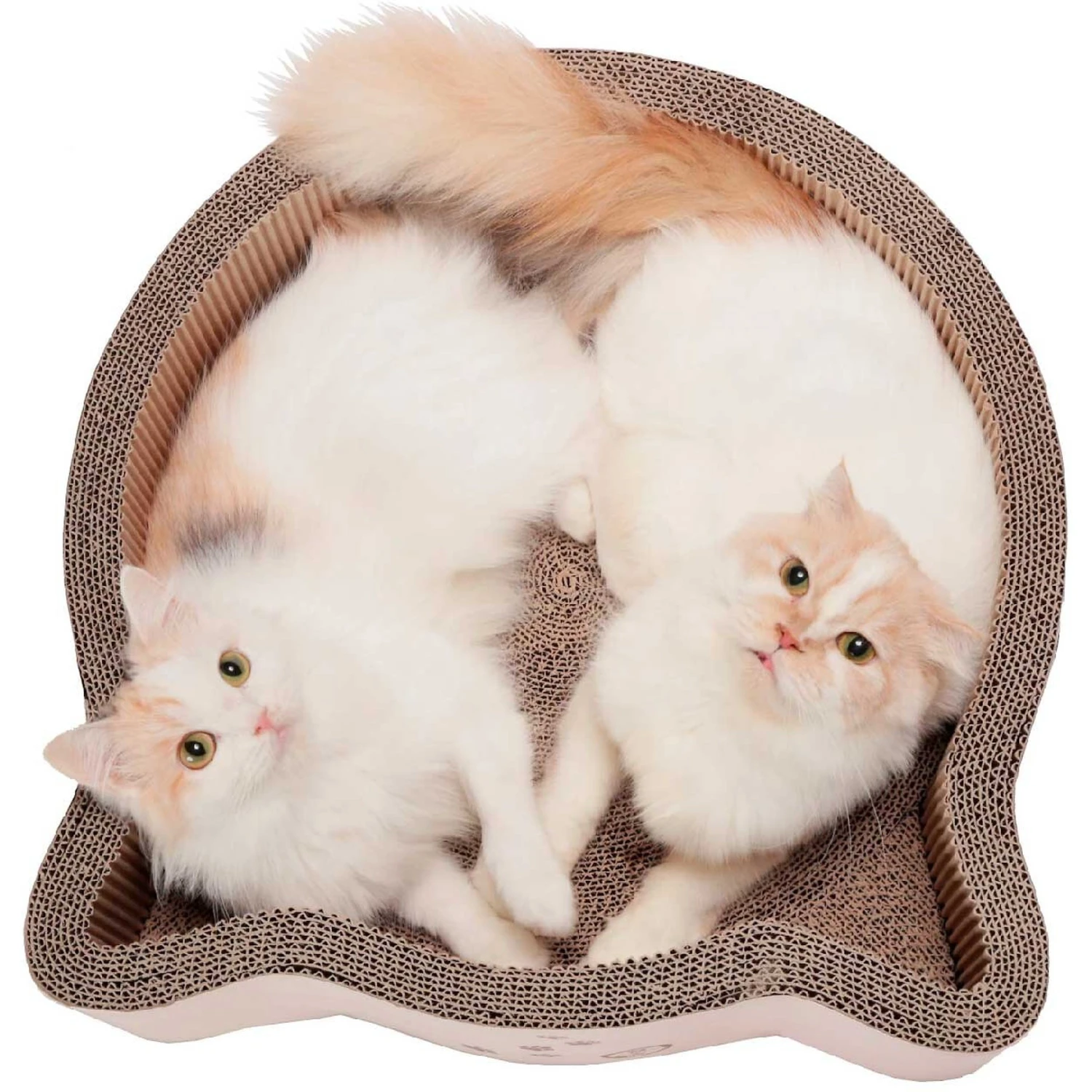 Necoichi Cat Head Scratcher Bed 3 Necoichi Cat Head Scratcher Bed