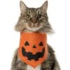 Frisco Jack O' Lantern Pumpkin Dog & Cat Bandana 2 Frisco Jack O' Lantern Pumpkin Dog & Cat Bandana -Pet Supplies Store 158934 MAIN. AC SS1800 V1669148132