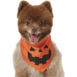 Frisco Jack O' Lantern Pumpkin Dog & Cat Bandana -Pet Supplies Store 158934 PT2. AC SS1800 V1690828662