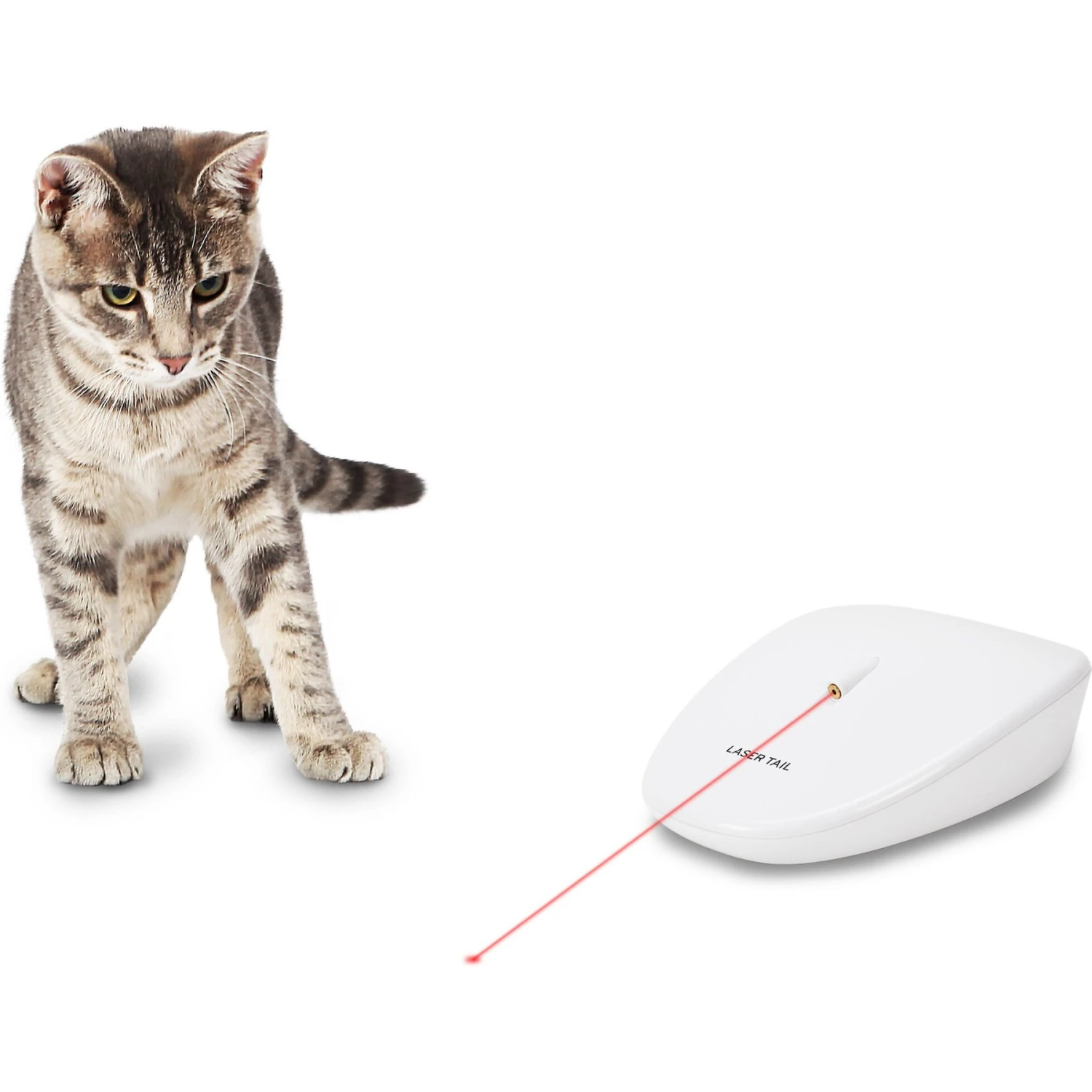 PetSafe Laser Tail Laser Cat Toy 3 PetSafe Laser Tail Laser Cat Toy
